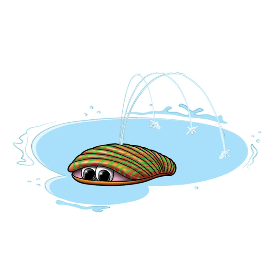 COWARDLY CLAM