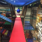 Safari Run – Plano, TX