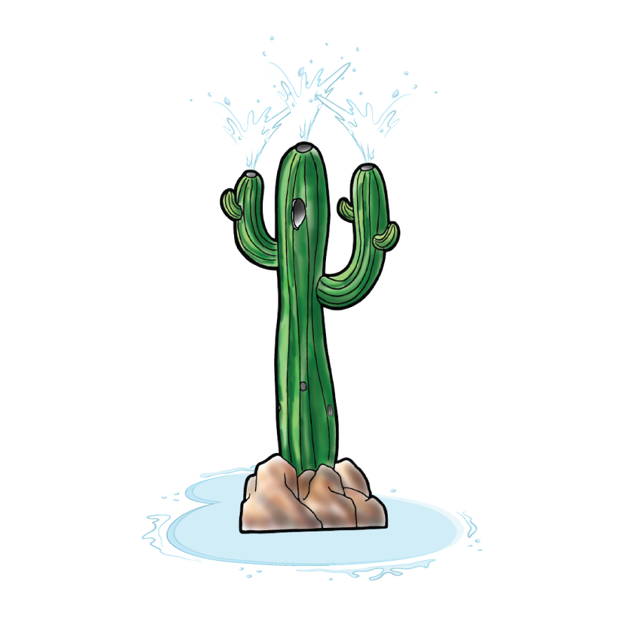 COWBOY CACTUS