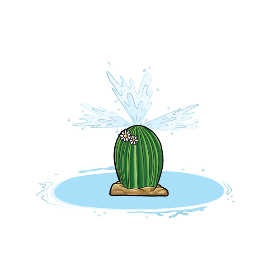 KIDDY CACTUS