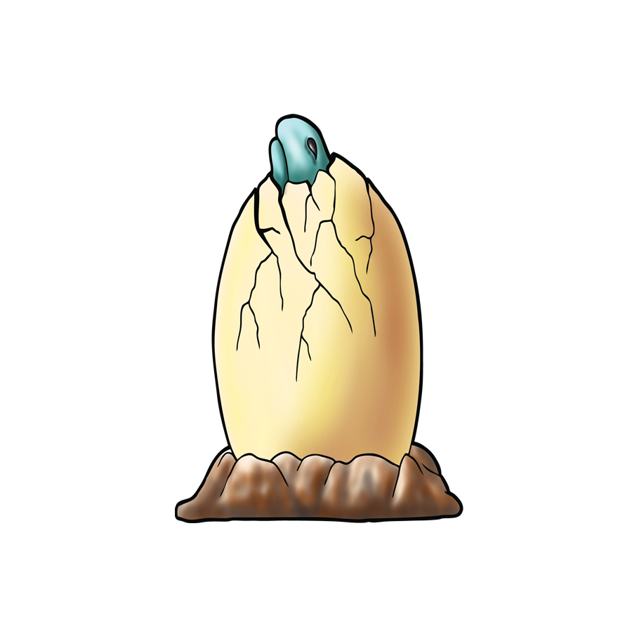 DRAGON EGG AQUA ACTIVATOR