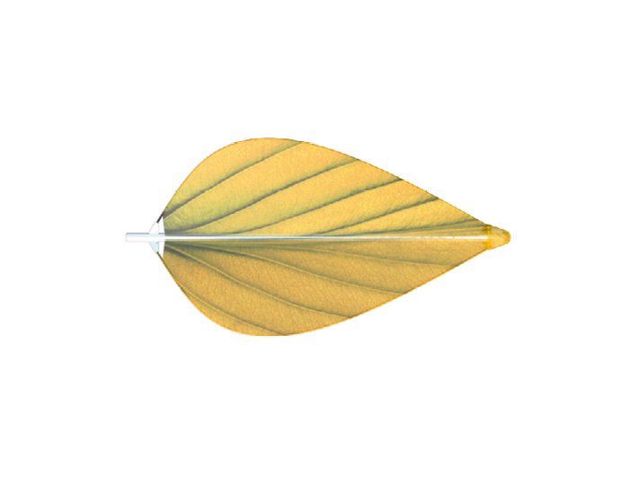Mái che hình lá Leaf M