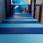 Curiosity on Court – Brooklyn, NY