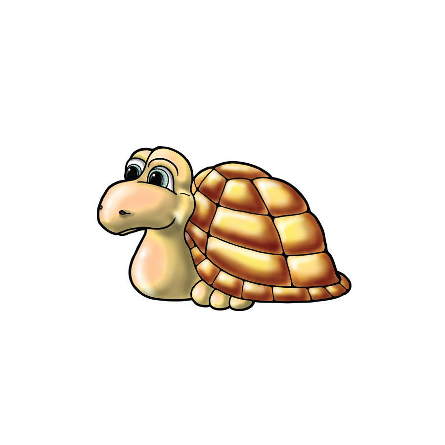 BOX TURTLE AQUA ACTIVATOR