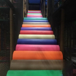 Safari Run – Plano, TX