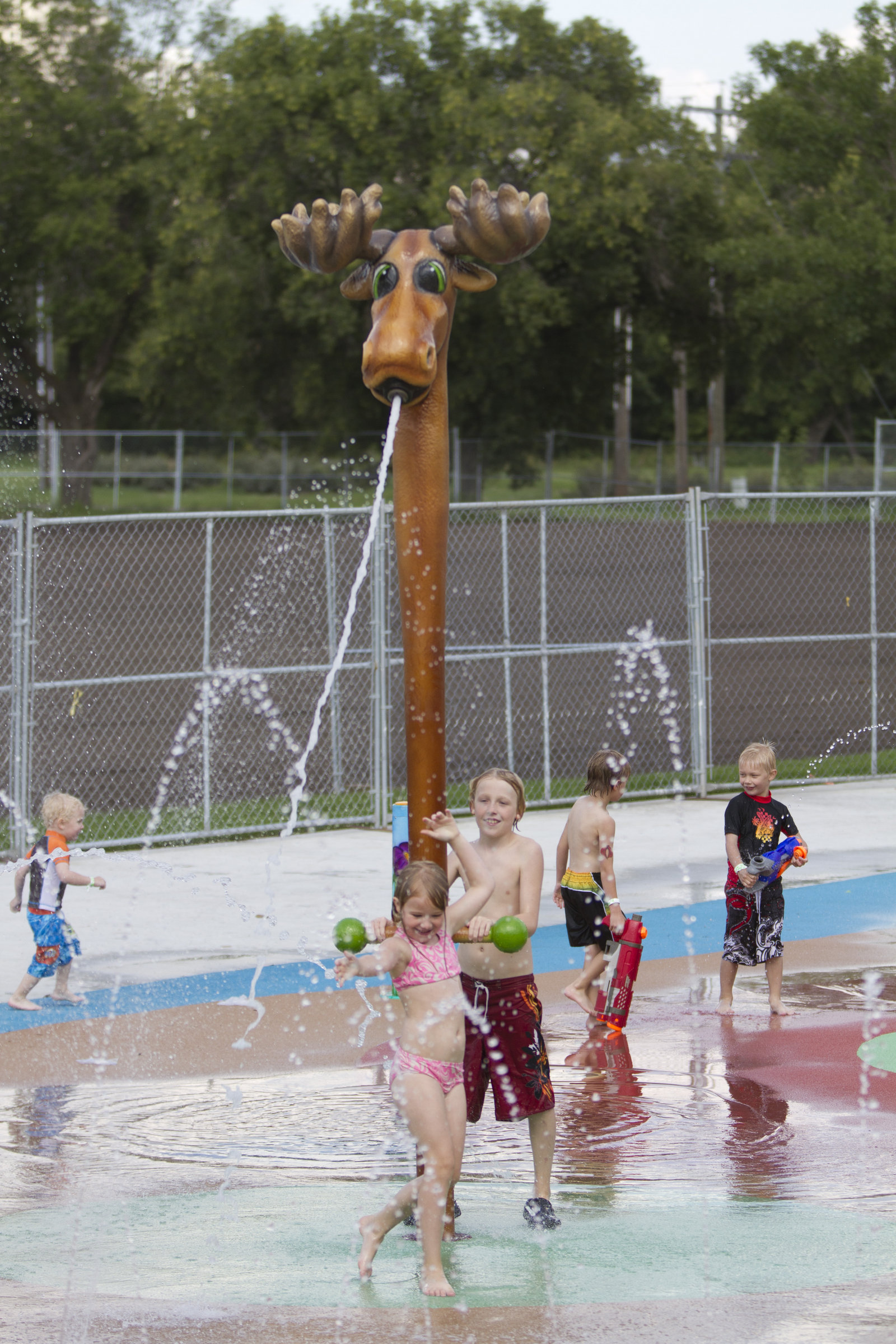 TALL SQWERTS™ MOOSE