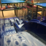 Safari Run – Plano, TX